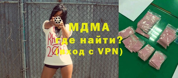 шишки Надым
