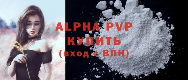 стафф Алексин