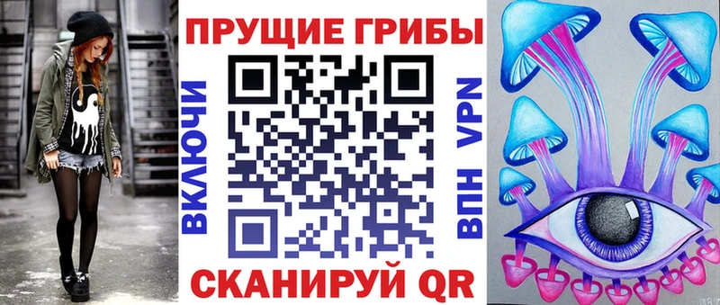 где купить наркоту  blacksprut вход  Галлюциногенные грибы Cubensis  Бийск 